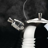 Whistling Tea Kettle in Silver