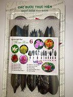 3d Gelatin Art Tools - Type 6 - 3d Jelly Cake Tools - 10 Pcs/set