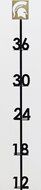 Henson Metal Works 2800-9 Michigan State Collegiate Logo Snow Gauge