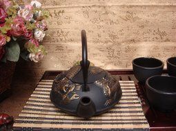 Japan Style Cast Iron Tea Pot with Coiled Dragon Pattern