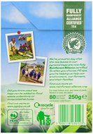 PG Tips Black Tea, Pyramid Tea Bags, 80-Count Boxes (Pack of 4) N5