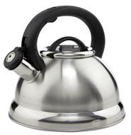 Satin Top/Mirror Bottom Whistling Spout Tea Kettle