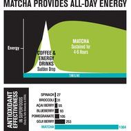 Epic Matcha Green Tea Powder - USDA Organic - Best Culinary Grade - Free 37+ Smoothie &amp; Baking Recipes and... N6