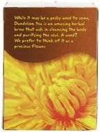 Now Foods Tea Bags, Heavenly Hip Hibiscus, 24 Count, 1.7 oz N7