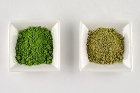 Mojo Matcha - Premium Matcha Green Tea Powder - Ceremonial Grade N4