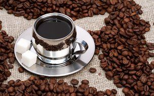 Guatemalan Organic Finca Ceylan SHG RFA SMBC Coffee Beans (Light Roast (City), 5 pounds Whole Beans)