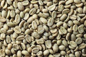Peru Approcassi Cajamarca Fair Trade Shade Grown Organic Coffee Beans (Light Roast (City), 3 Pounds Whole Beans)