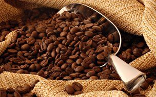 Peru Approcassi Cajamarca Fair Trade Shade Grown Organic Coffee Beans (Light Roast (City), 3 Pounds Whole Beans) N2