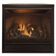 Duluth Forge Dual Fuel Vent Free Fireplace Insert - 32,000 BTU, Remote Control N2