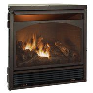 Duluth Forge Dual Fuel Vent Free Fireplace Insert - 32,000 BTU, Remote Control N4