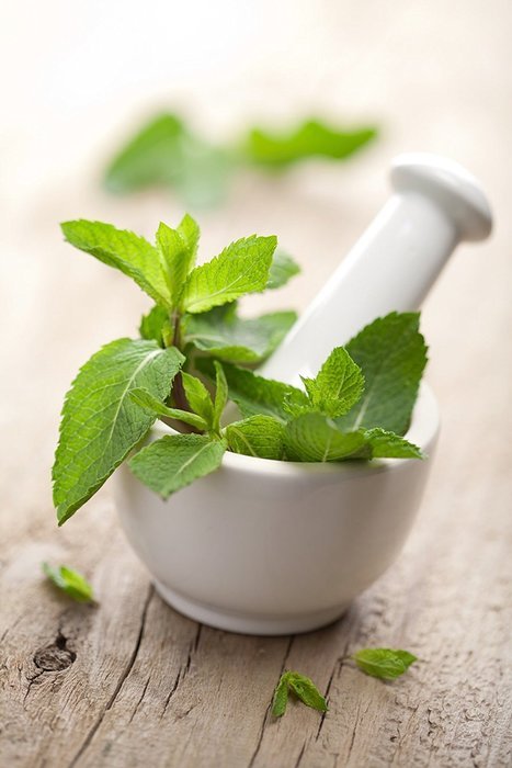 Organic Peppermint Chamomile Tea, Wild Tea #11 Premium Whole Chamomile Flowers with Zesty Peppermint by Wild Foods... N2
