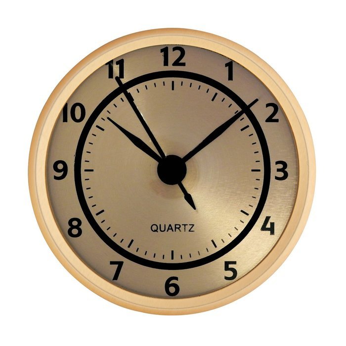 2-3/4" Gold Hygrometer Insert N2