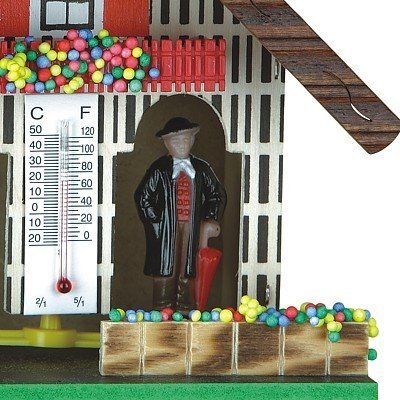 German Black Forest weather house TU 803 N4