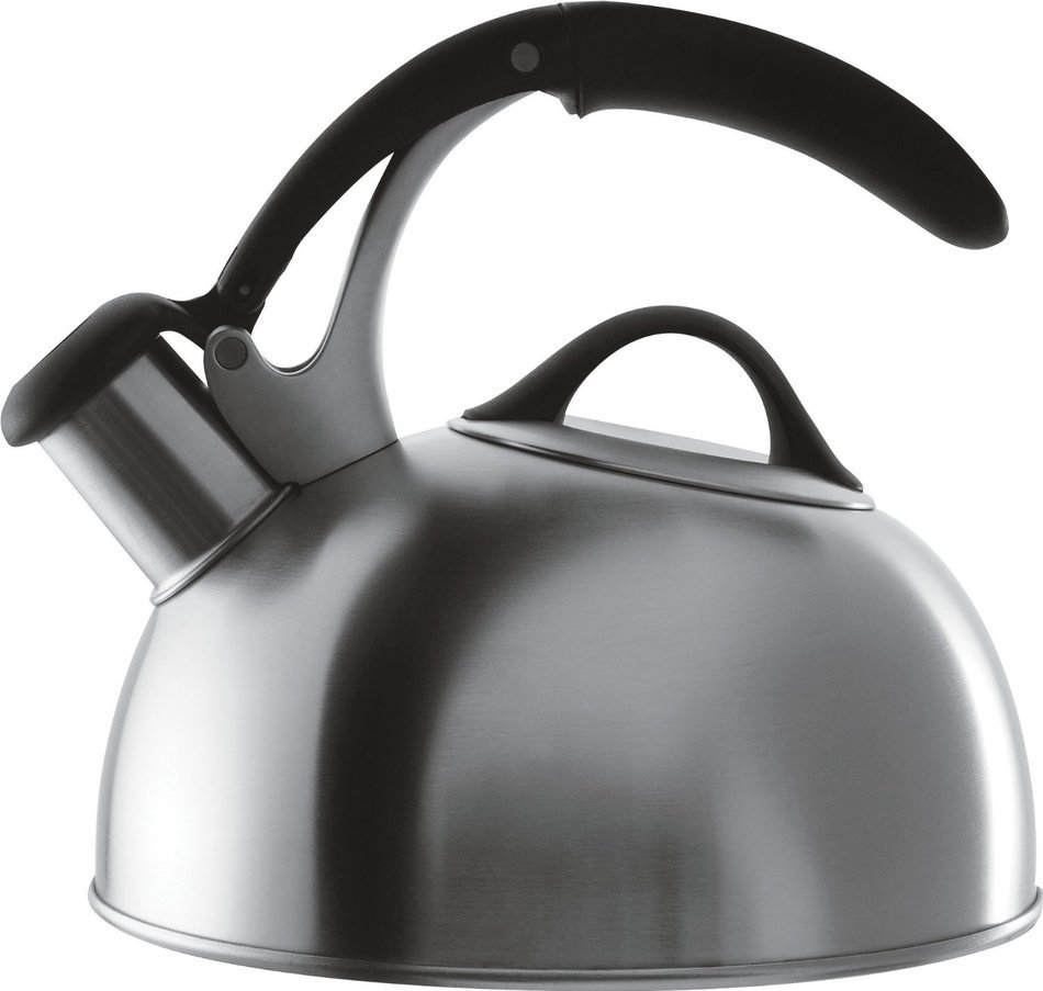 OXO Good Grips Pick Me Up Tea Kettle, Brushed Stainless N6