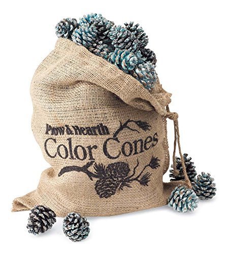 Color-Changing Fireplace Color Cones &ndash; 5 lb. Refill Bag