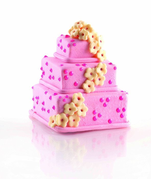 Silikomart Silicone Wonder Cakes Collection Round Mini Wonder Cakes Mold N2