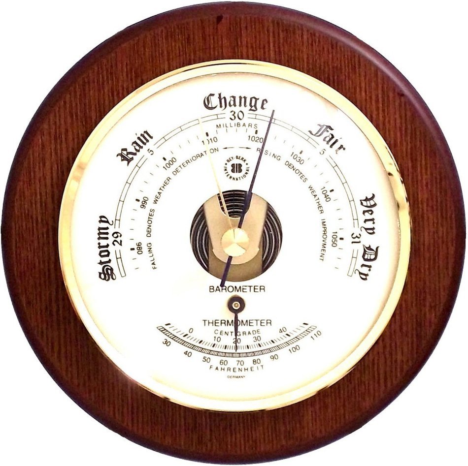 Bey-Berk - Osprey Barometer and Thermometer
