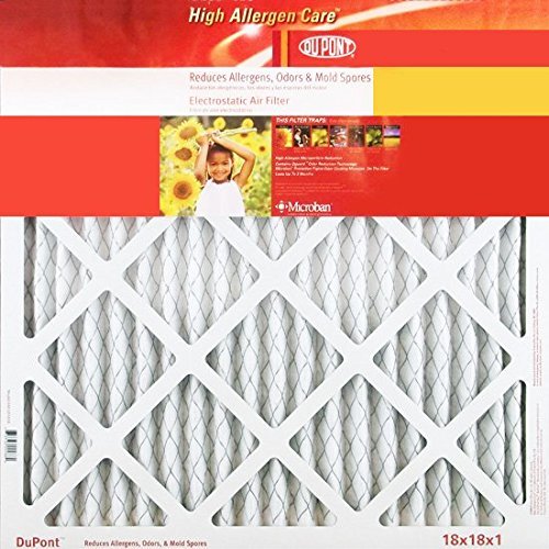 DuPont KB19.88X21.5X1A High Allergen Care Electrostatic Air Filter, 19.8 x 21.5 x 1 in.