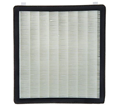AIRH1Q2PK Oreck HEPA Filter Cartridge (2pk) for AIRH1Q, AIRHAQ, AIRHGQ, AIRHSQ Series and V31715