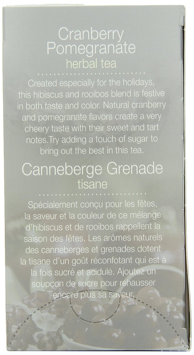 Stash Tea 6-Flavor Assortment Tea, Fall for Autumn, 6 Count N5 free ...