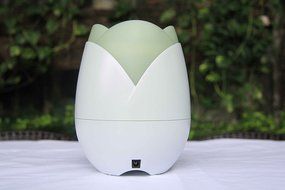 Youlanda Mist Humidifier Aromatherapy Essential Oil Diffuser for Office Home Bedroom Living Room Study Yoga Spa N2