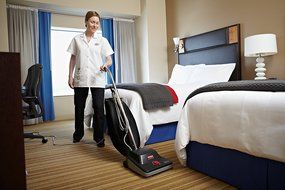 Rubbermaid Commercial 1868436 Executive Series Standard Upright Vacuum Cleaner, 12-inch, Black N3