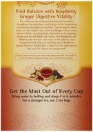 Yogi Tea Raspberry Ginger Digestive Vitality, 16 Count (Pack of 6) N4