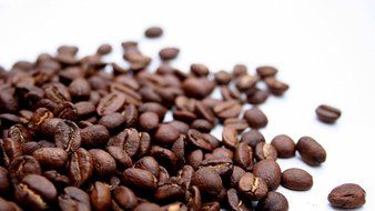 Ethiopian Yirgacheffe Washed Grade 1 Coffee Beans (Medium Roast (Full City +), 3 Pounds Whole Beans) N5