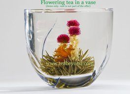 Teapot Set Flowering Tea Glass Teapot Gift Set Harmony 42 Oz / 1242 Ml with Stainless Steel Tea Warmer Alex Tea... N23