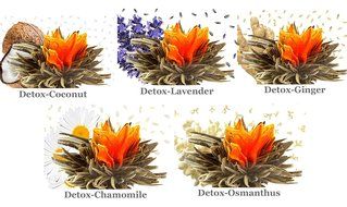 Teapot Set Flowering Tea Glass Teapot Gift Set Harmony 42 Oz / 1242 Ml with Stainless Steel Tea Warmer Alex Tea... N38
