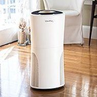 QuietPure Home Air Purifier Replacement HEPA &amp; Carbon Filter