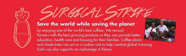 DrDanger Coffee Surgical Strike Scientifically Selected, Blended &amp; Roasted, Whole Bean, 12 oz N3