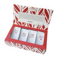 Tea Advent Calendar (Loose Leaf Tea) 24 Day Sampler