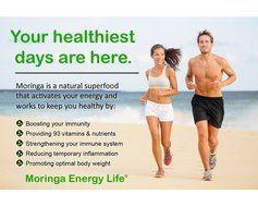 MORINGA GINGER TEA - USDA Organic, Exotic Blend of Fresh Moringa tea, Ginger Root and Lemongrass in a Combination... N3