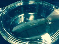 Princess House Heritage 2.5 Quart Round Covered Casserole N4