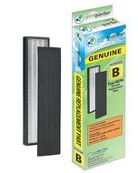 GermGuardian FLT4825 GENUINE True HEPA Replacement Filter B for AC4300/AC4800/4900 Series Air Purifiers N3