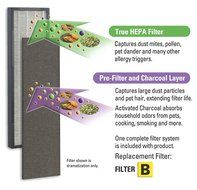 GermGuardian FLT4825 GENUINE True HEPA Replacement Filter B for AC4300/AC4800/4900 Series Air Purifiers N4