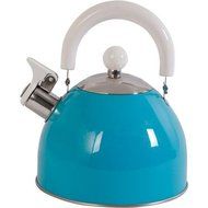 Stainless Steel 1.5 qt Tea Kettle with White Handle, Aqua