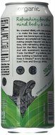 Steaz Organic Iced Green Tea, Lightly Sweetened Grapefruit Honey, 16 Ounce (Pack of 12)