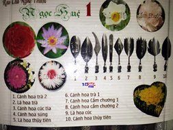 3D Jelly Tools Starter Kit - Type 1 - 3D Gelatin Art Tools - 10 pcs/set