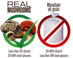 5 Defenders Mushroom Extract Blend by Real Mushrooms - Chaga, Reishi, Shiitake, Maitake and Turkey Tail Mushroom...