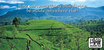 Basilur | Original English Breakfast Tea | Ultra- Premium Ceylon Black Tea | Specialty Classics Collection | Single... N15