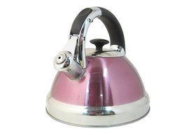 Native Spring 3-Quart Whistling Stainless Steel Tea Kettle Excellent for your Favorite Drink - Purple N3
