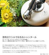 Chantal Enamel on Steel 1.8-Quart Loop Teakettle, Lime Green N7