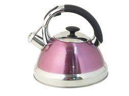 Native Spring 3-Quart Whistling Stainless Steel Tea Kettle Excellent for your Favorite Drink - Purple N4