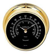Criterion Brass &amp; Black Thermometer