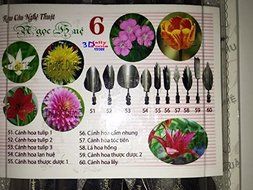 3d Gelatin Art Tools - Type 6 - 3d Jelly Cake Tools - 10 Pcs/set N3