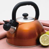 Creative Home Satin Mist Metallic Stainless Steel Whistling Tea Kettle, 2.6-Quart, Chartreuse N2