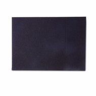 Charcoal Pre-Filters for Hunter Models 30245/30525 - 2 Pack N2