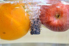 Ozone 500-i Ozonator + Negative Ion Generator for Air and Water N5